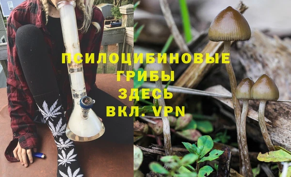тгк Абинск