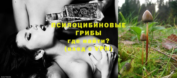 дживик Алзамай