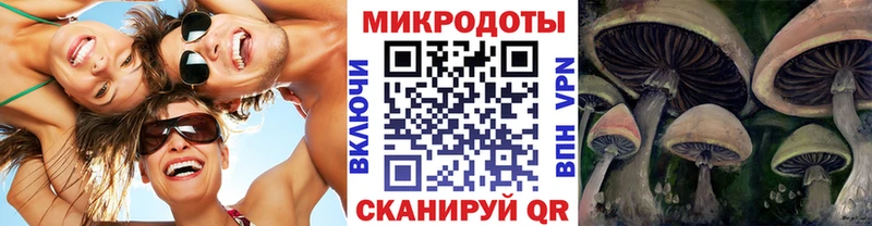 маркетплейс состав  ссылка на мегу рабочий сайт  Галлюциногенные грибы Magic Shrooms  Щёкино  где можно купить наркотик 
